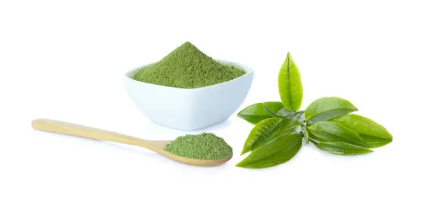 Green Tea Extract Powder Green Tea Extract Powder